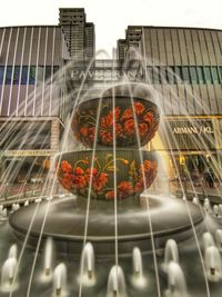 Low angle view of fish in glass building