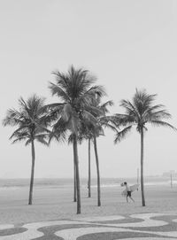 Man carrying surfboard by palm trees at beach against clear sky