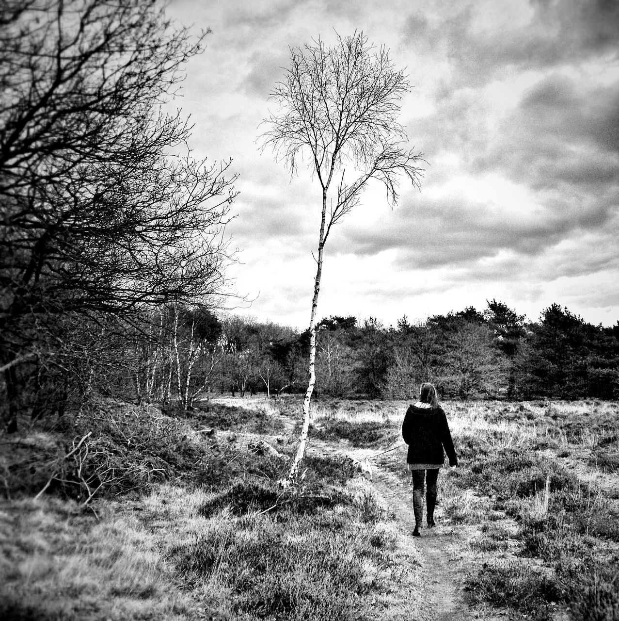 rear view, full length, tree, sky, lifestyles, leisure activity, walking, grass, men, tranquility, field, nature, cloud - sky, tranquil scene, standing, landscape, person, casual clothing