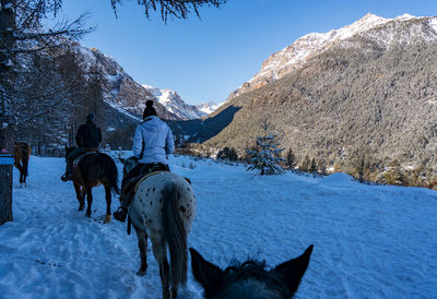 Rear view of horse on snow covered mountain