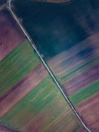 High angle view of agricultural field