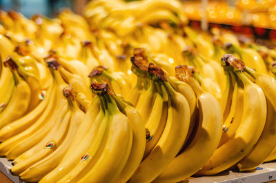 Bunch of bright fresh yellow bananas in market. delicious ingredient for desserts.