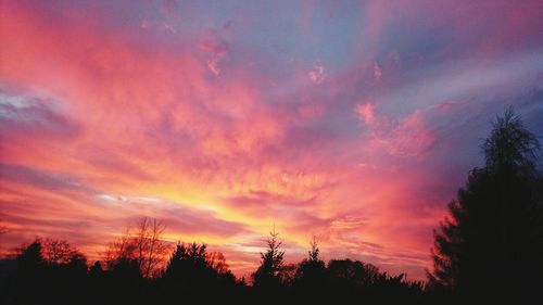 Silhouette of trees at sunset