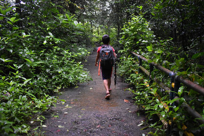 Rear view of boy walking on footpath in forest