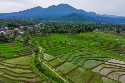 High angle view of agricultural field against sky