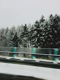 Blurred motion of trees against clear sky