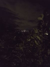 Scenic view of sea against sky at night