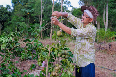 Midsection of woman holding corn standing by plants