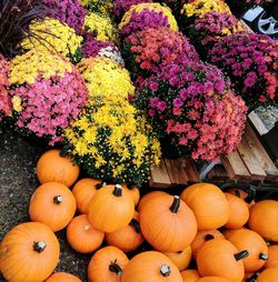 Full frame shot of pumpkins in market