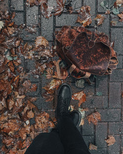Low section of person standing on dry maple leaf during autumn dr martens
