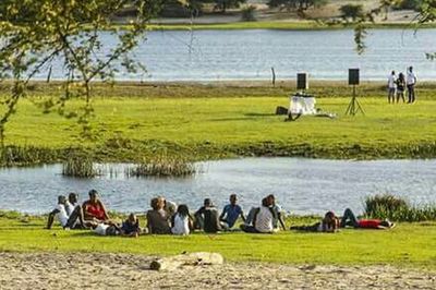 People sitting on grassy field