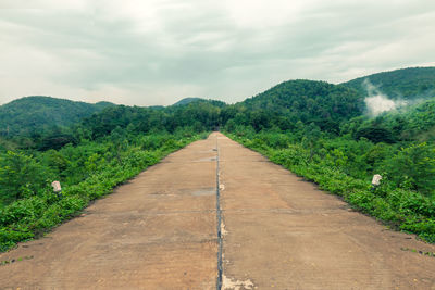 Empty road along plants and trees against sky