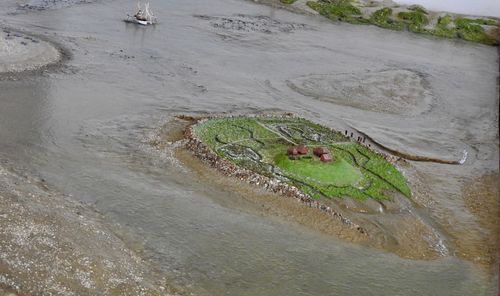 High angle view of crab on beach