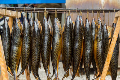 Close-up of fish for sale