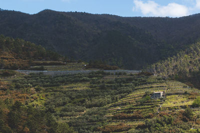 Low angle view of field and mountains against sky