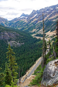 Scenic view of pine trees by mountains against sky