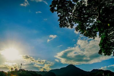 Low angle view of silhouette trees against sky