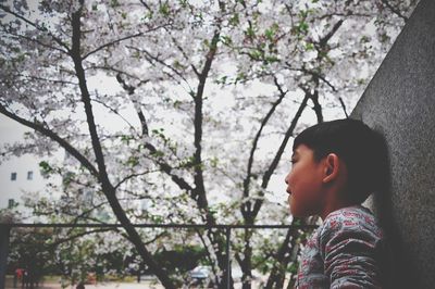 Close-up of boy and flower tree