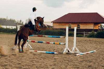 Rear view of woman riding horse on field