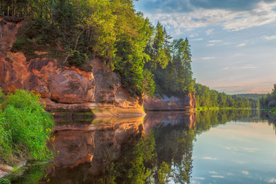 Scenic view of lake by trees against sky