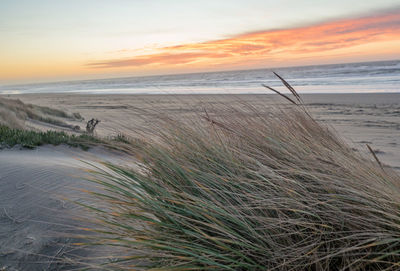 Scenic view of beach against sky during sunset