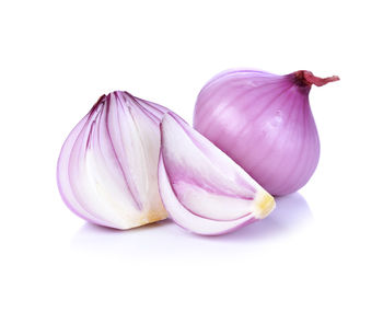 Close-up of purple flower against white background