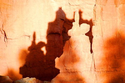 Shadow of tree on the wall