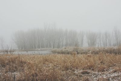 View of lake in foggy weather