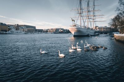 Sailboats in a city