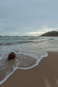 Surface level of beach against sky