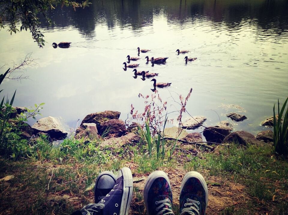 low section, water, person, shoe, lake, personal perspective, high angle view, standing, reflection, nature, men, human foot, rippled, lakeshore, footwear, unrecognizable person, leisure activity