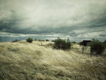 View of field against cloudy sky