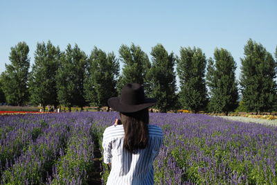 Rear view of woman standing by lavender field against trees