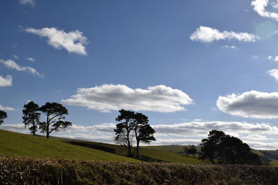 sky