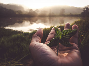 Midsection of person holding plant