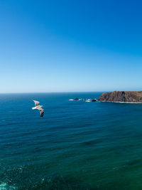 Scenic view of sea against clear blue sky