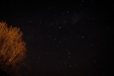 Low angle view of stars in sky at night