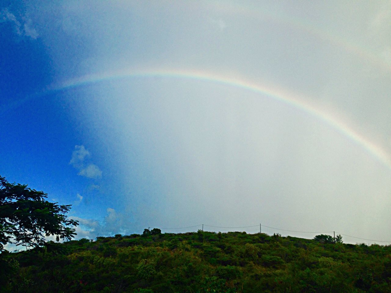 scenics, tranquil scene, sky, beauty in nature, tranquility, tree, nature, landscape, blue, idyllic, cloud - sky, rainbow, green color, non-urban scene, sunbeam, sunlight, grass, cloud, remote, outdoors