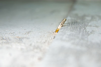 Close-up of cigarette smoking on wood