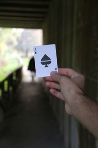 Close-up of hand holding cards