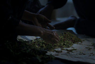 Close-up of person preparing green clove