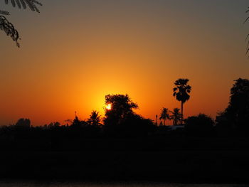 Silhouette trees against orange sky