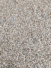 Full frame shot of pebbles