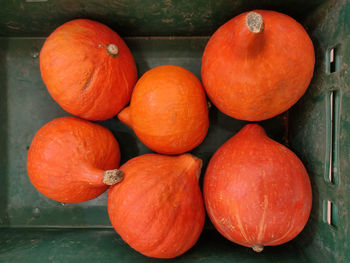 Close-up of pumpkins