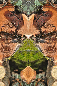 Digital composite image of rocks and trees