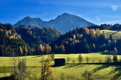 Scenic view of green grass and autumn forest against mountains and sky