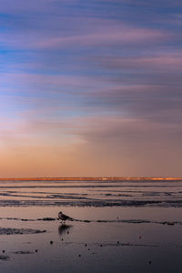 Scenic view of beach against sky at sunset