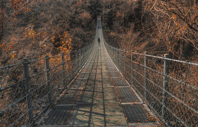 Aerial view of illuminated footbridge in forest during autumn