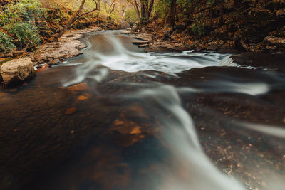 Stream flowing through rocks in forest