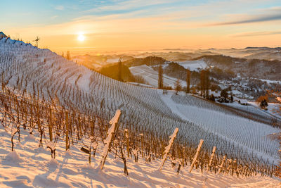 Scenic view of snow covered field against sky during sunset